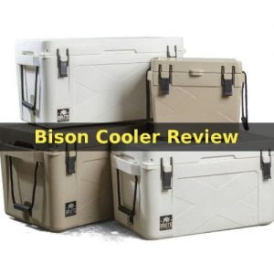 Bison Coolers