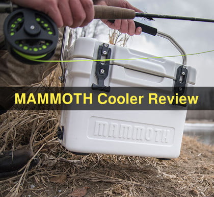 mammoth ranger cooler